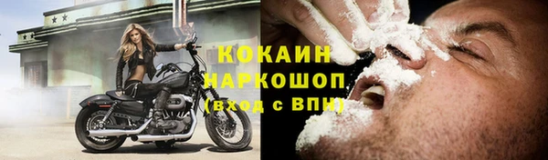 спайс Алзамай