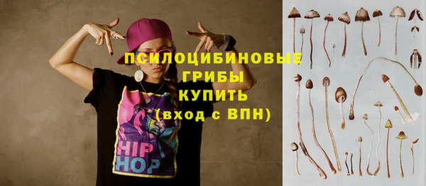 apvp Алексеевка