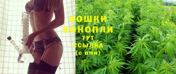 спайс Алзамай