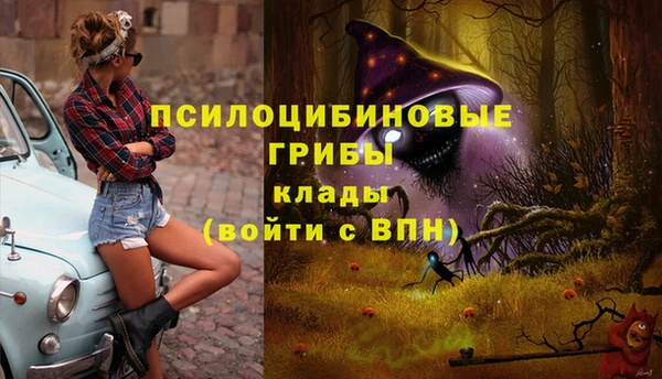 спайс Алзамай