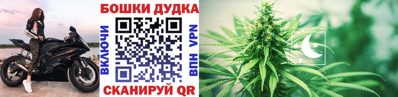 omg вход  наркошоп  Тогучин  Бошки марихуана гибрид 